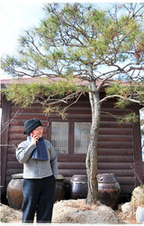 생활한복 
