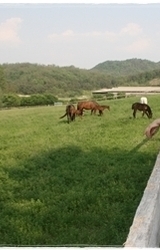 생활한복 